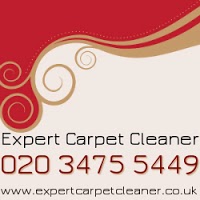 Expert Carpet Cleaner 350250 Image 4